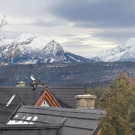 Eco Willa Karpatia Ski&Wellness ムジャシフレ エクステリア 写真