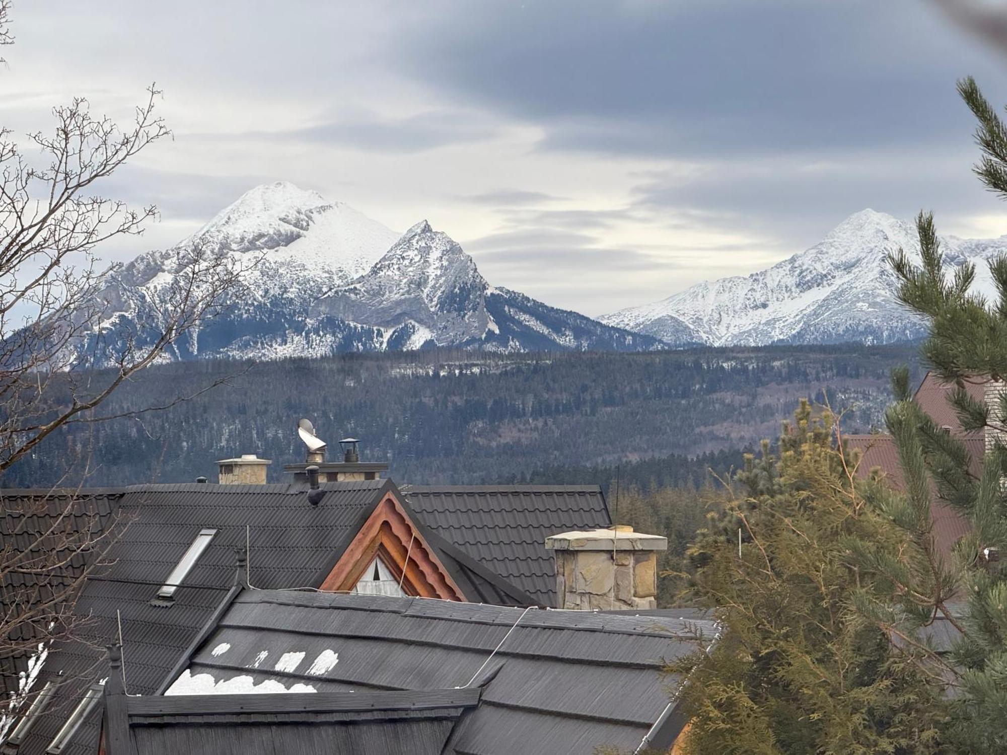 Eco Willa Karpatia Ski&Wellness ムジャシフレ エクステリア 写真