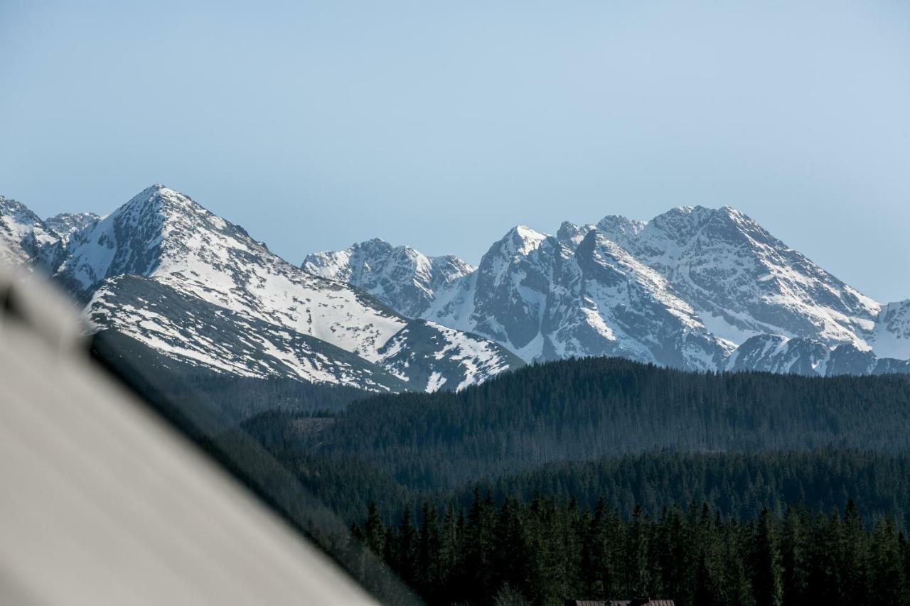 Eco Willa Karpatia Ski&Wellness ムジャシフレ エクステリア 写真